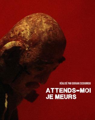 Wait for Me, I'm Dying