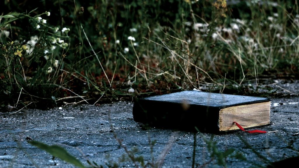 Interfilm Berlin - 2019 Interfilm Berlin - 2019