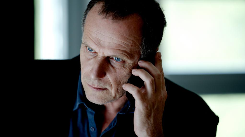 Mostra - Festival international du film de São Paulo - 2012 - © Patrick_Muller Mostra - Festival international du film de São Paulo - 2012 - © Patrick_Muller