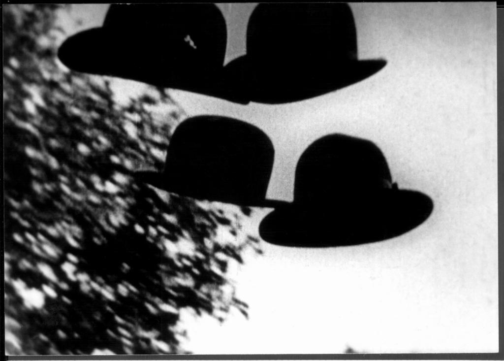 Free Radicals Free Radicals