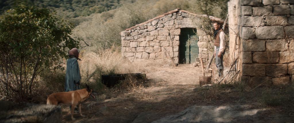 Festival Internacional de Cortometrajes de Teherán - 2020 Festival Internacional de Cortometrajes de Teherán - 2020