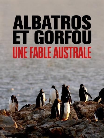Albatros et gorfu, une fable australe Albatros et gorfu, une fable australe