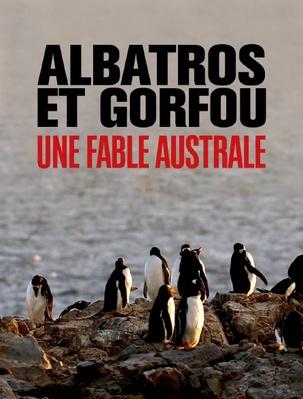 Albatros et gorfu, une fable australe Albatros et gorfu, une fable australe