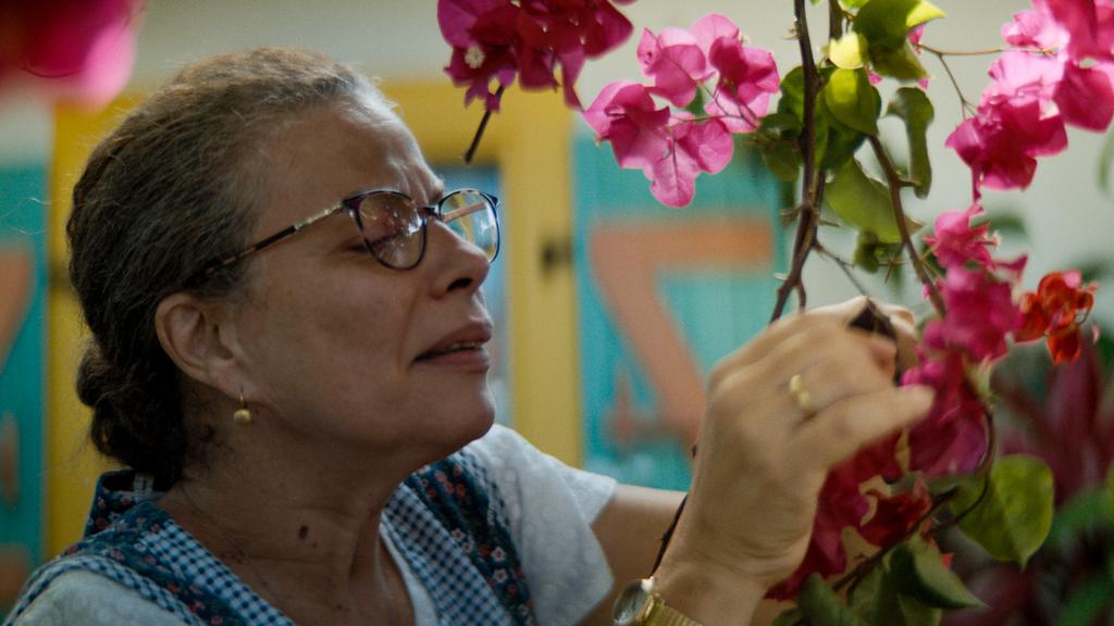 The Broken Mirror The Broken Mirror