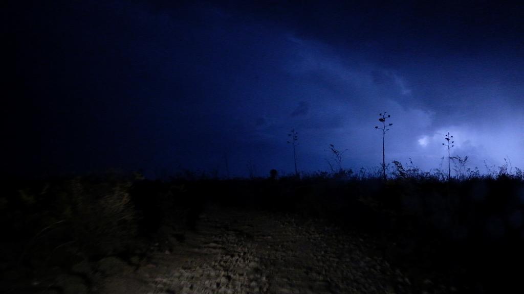 Clemente  Vigil Guevara