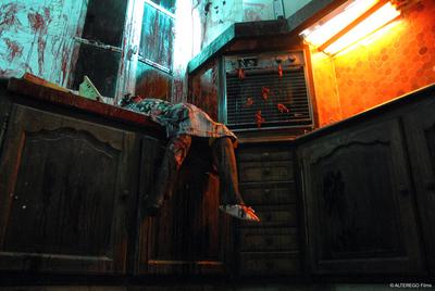 Lady Blood de JeanMarc Vincent (2007) UniFrance