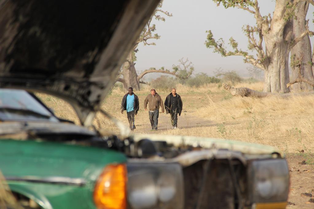 Thierry Tillieu - &copy; J&eacute;r&ocirc;me Quadri