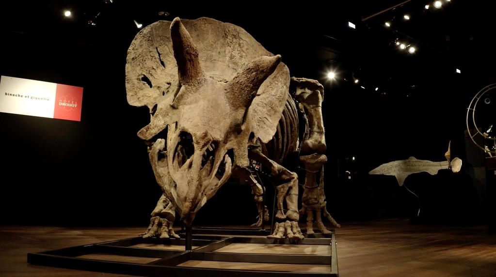 Jurassic Cash Jurassic Cash