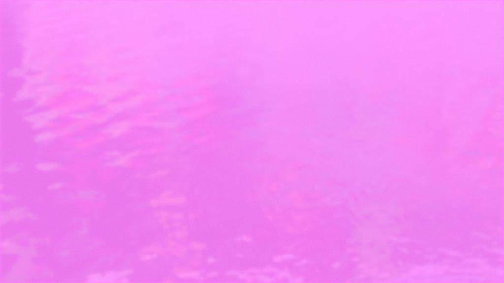 Aur&eacute;lien Bonneau