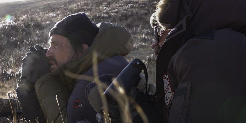 La Panthère des neiges La Panthère des neiges