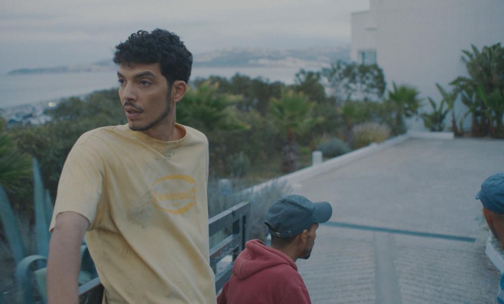 Derrière les palmiers Derrière les palmiers