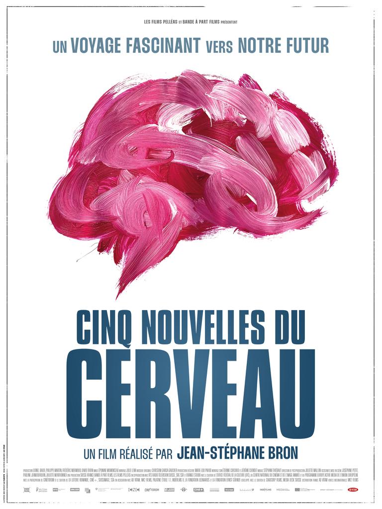 Cinq nouvelles du cerveau Cinq nouvelles du cerveau