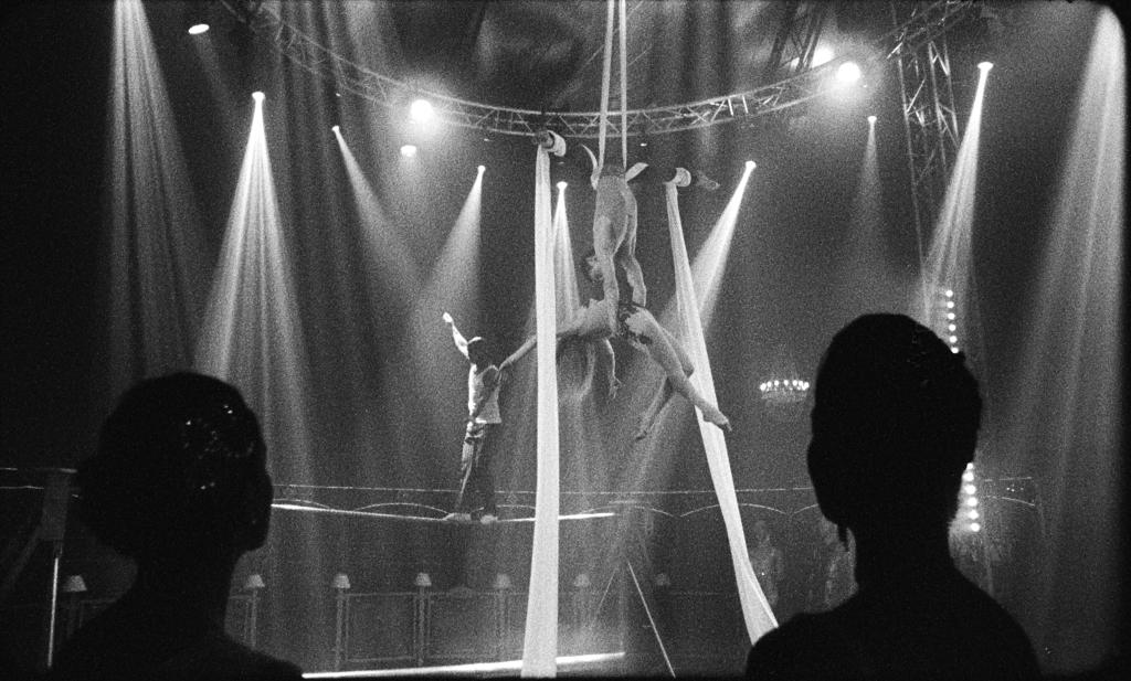 Il y a beaucoup de lumière ici Il y a beaucoup de lumière ici