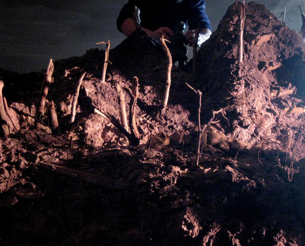 Bertha and the Poilu Bertha and the Poilu