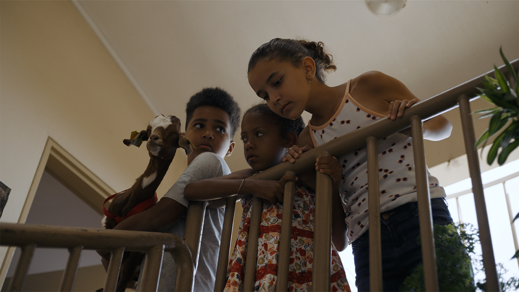 Dimitri Moy de la Croix