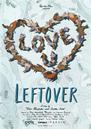 Leftover Leftover