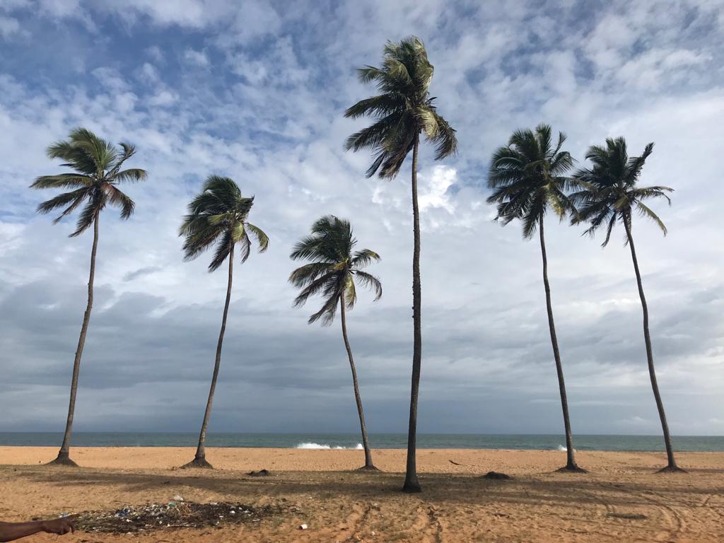 Le Panthéon de la joie Le Panthéon de la joie
