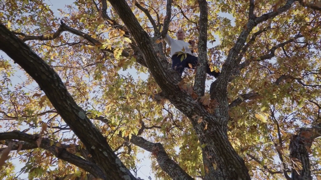 Off Season Off Season