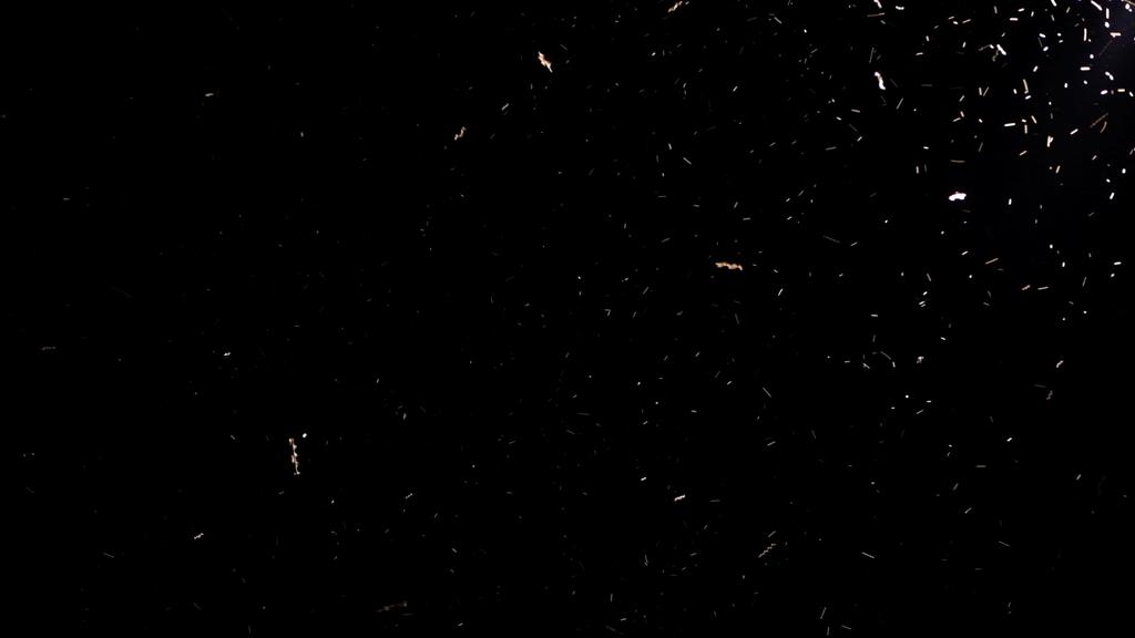 Desert Lights Desert Lights