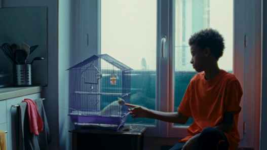 So Long Belleville So Long Belleville