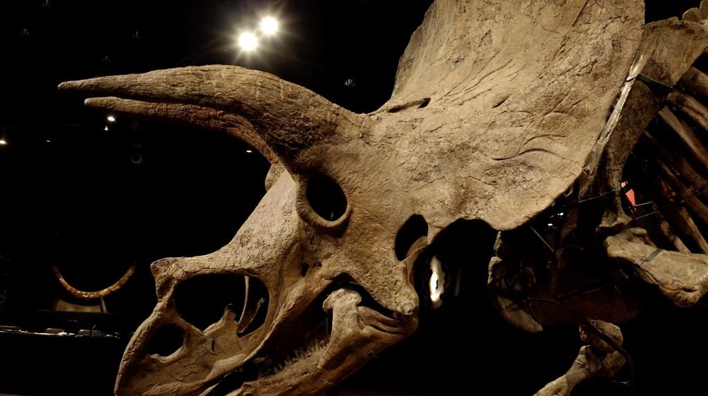 Jurassic Cash Jurassic Cash