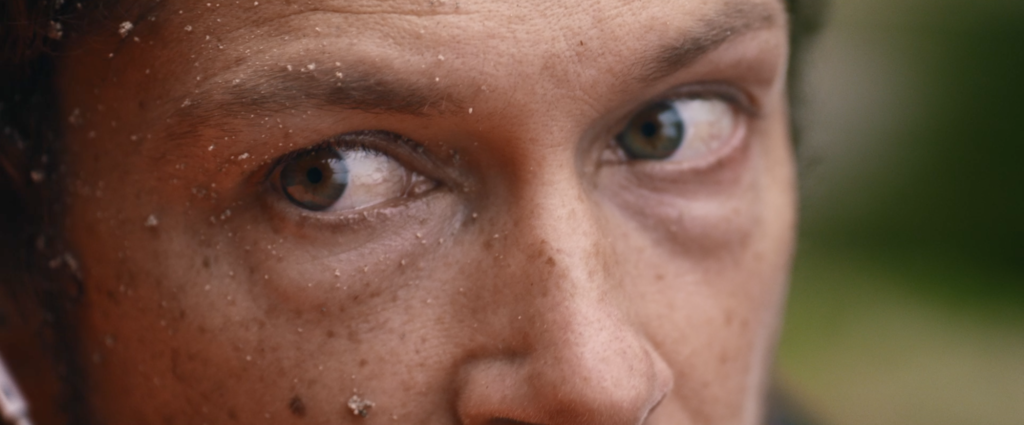 Panier de crabes Panier de crabes