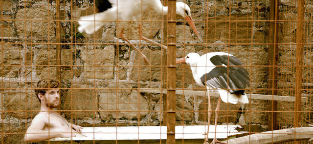 Le Vol des cigognes dans les salles américaines Le Vol des cigognes dans les salles américaines