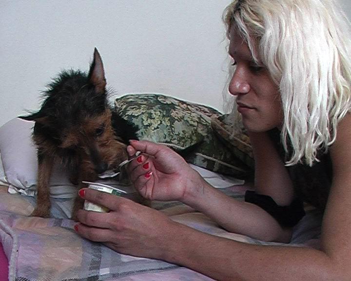 Les Travestis pleurent aussi Les Travestis pleurent aussi