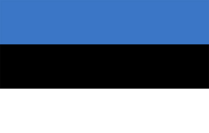Market Report: Estonia 2002