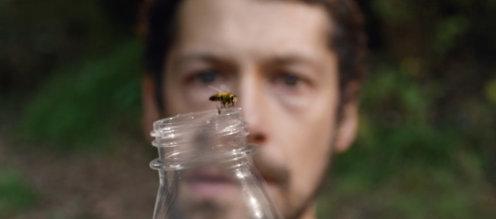 Panier de crabes Panier de crabes