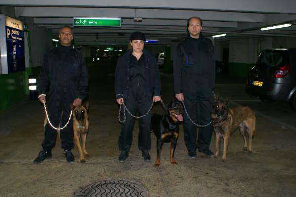 S&eacute;bastien Poupineau