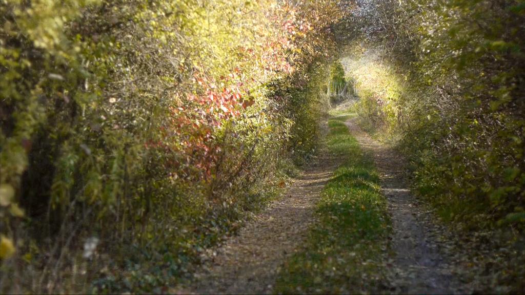Contes paradoxaux