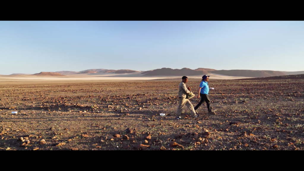 Top of the Rocks - © ARTE France - Haut et Court Doc - Haut et Court TV- 2022 Top of the Rocks - © ARTE France - Haut et Court Doc - Haut et Court TV- 2022