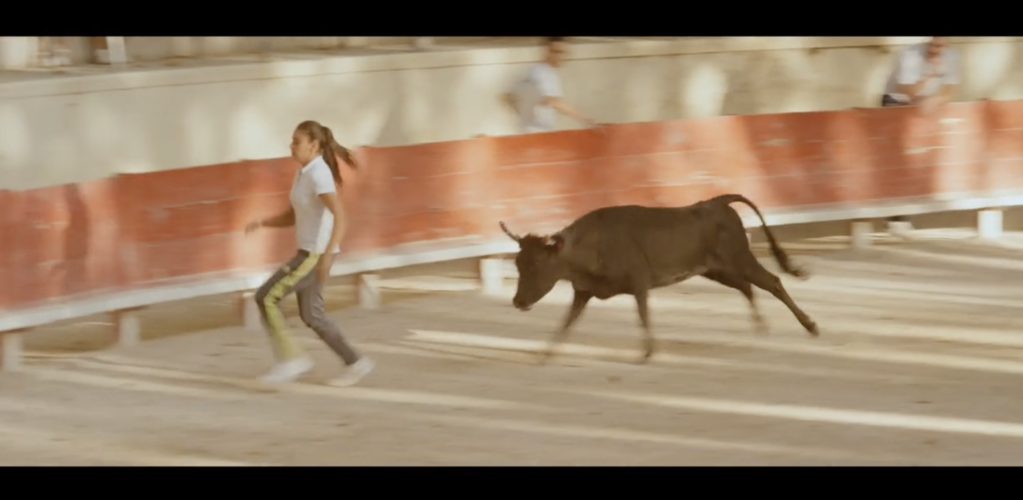 Fearless Girl Fearless Girl