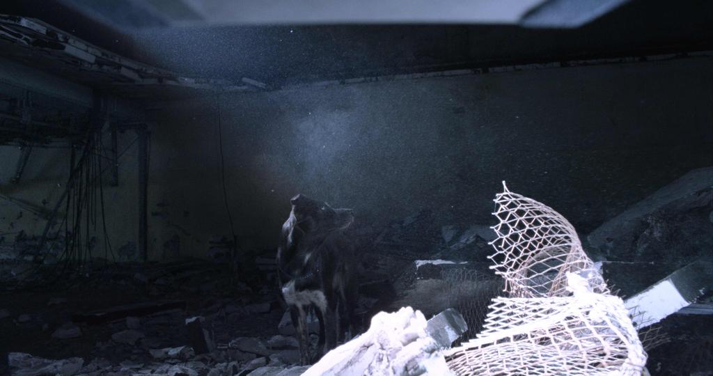 Festival Internacional de Cine de Jeonju - 2017 Festival Internacional de Cine de Jeonju - 2017