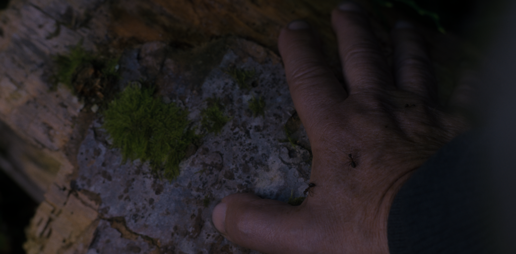 On brûlera On brûlera