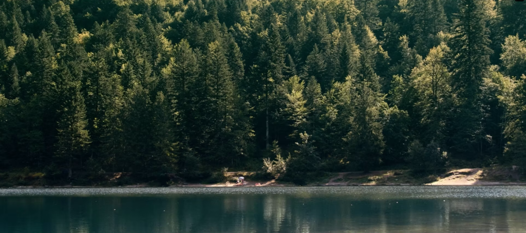 Panier de crabes Panier de crabes