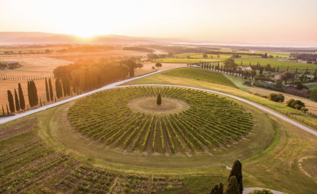 Vigneronnes Vigneronnes