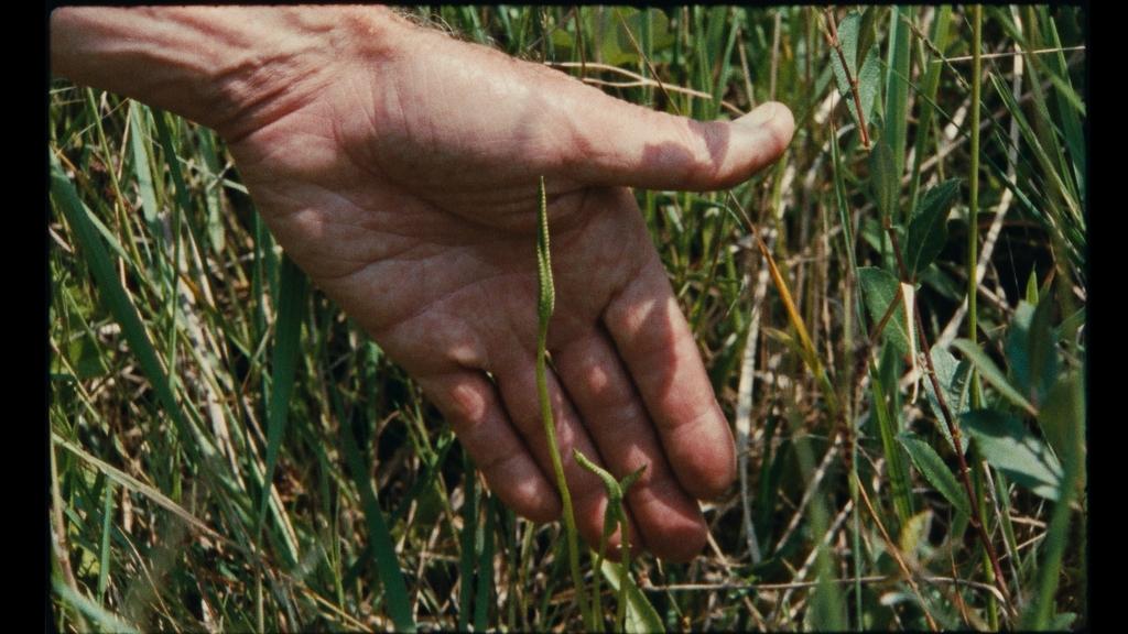 7 Walks with Mark Brown 7 Walks with Mark Brown