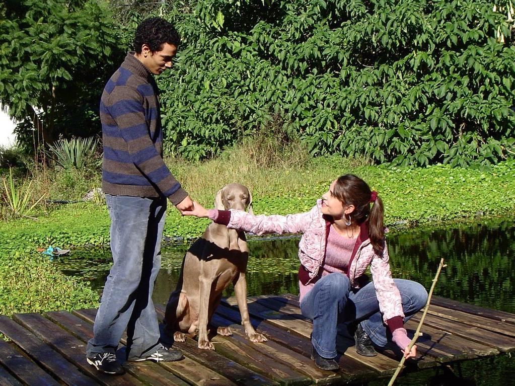 Bratislava French-Language Film Festival - 2008