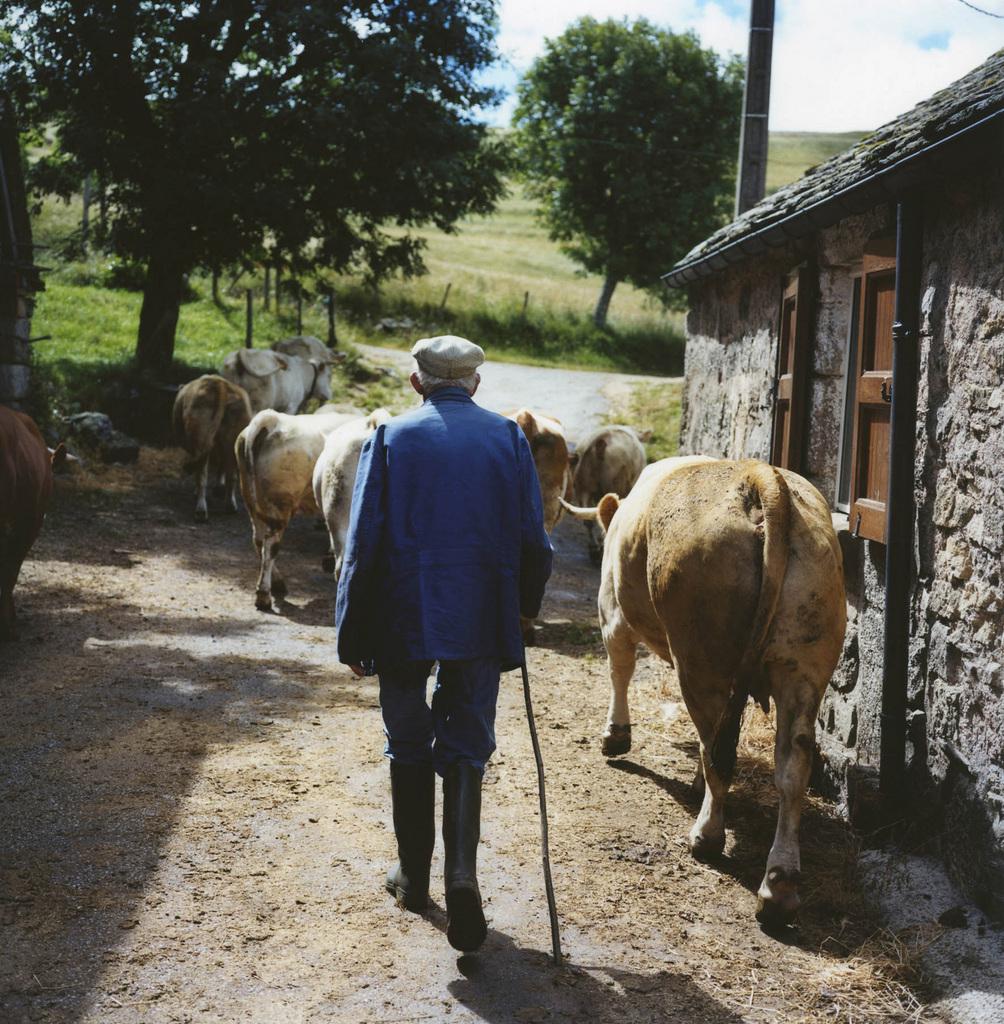 Istanbul Film Festival - 2009