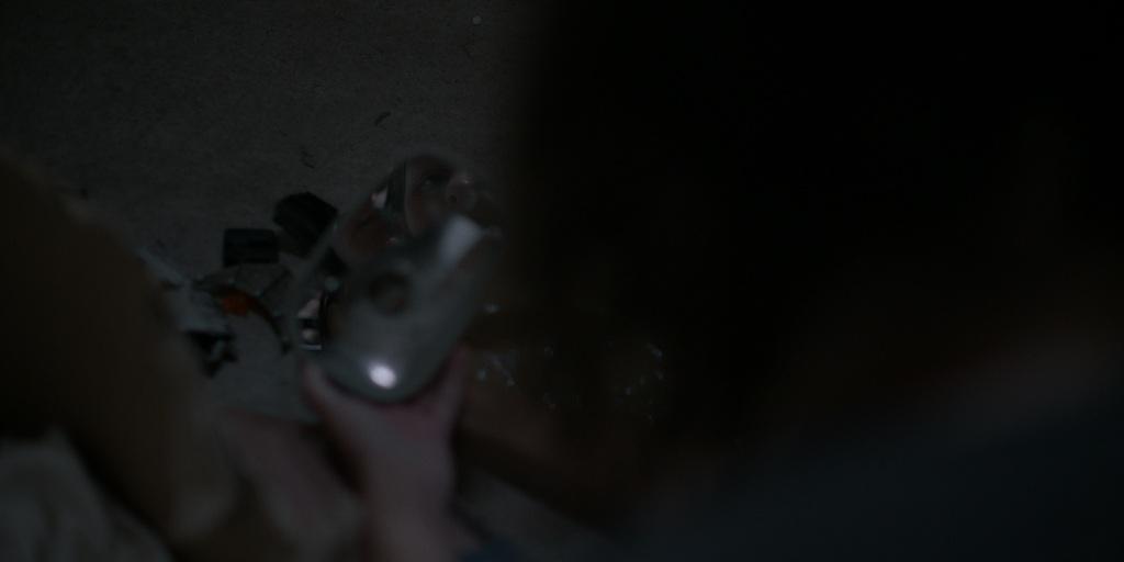 What the Mermaid Likes What the Mermaid Likes