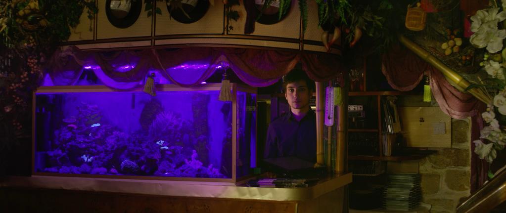 Night Stone Night Stone