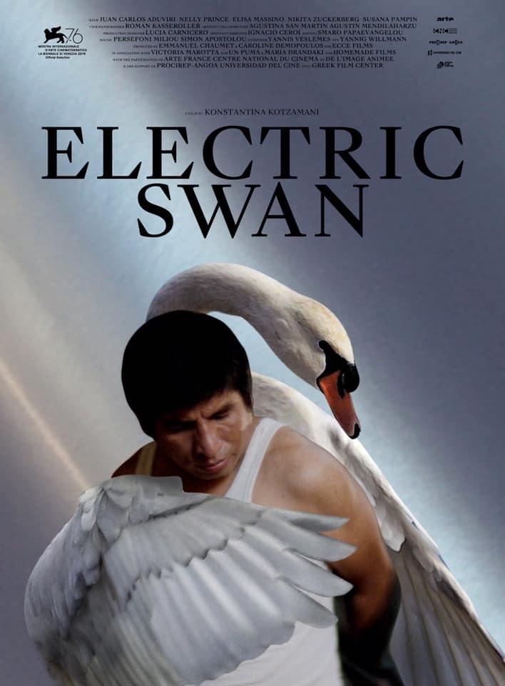 Electric Swan De Konstantina Kotzamani 19 Unifrance