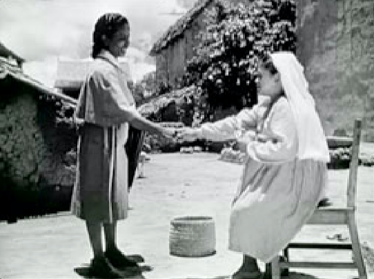 Cheveux noirs, capes grises Cheveux noirs, capes grises