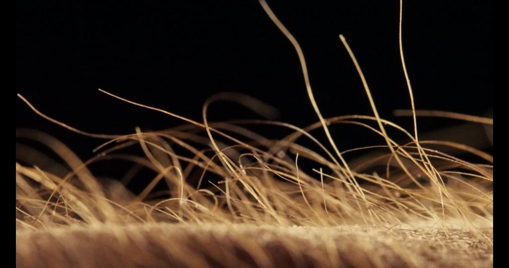 Tampere Film Festival - 2025