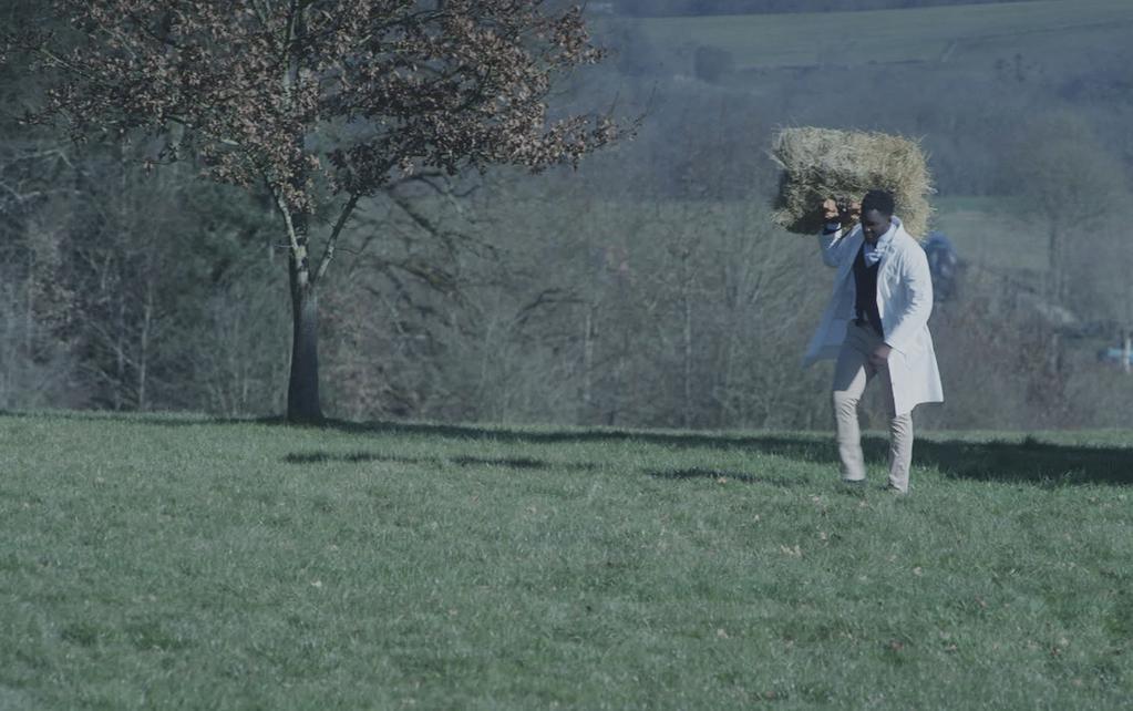 The Dragon's Demise The Dragon's Demise