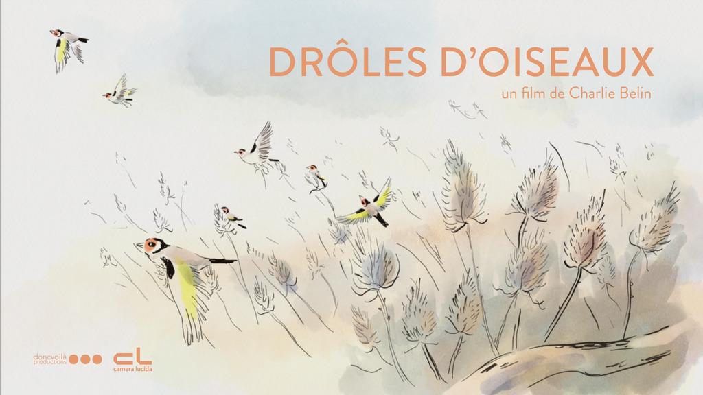 Funny Birds Funny Birds