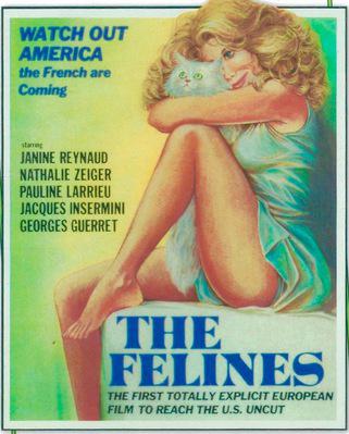 The Felines - Jaquette DVD Etats-Unis The Felines - Jaquette DVD Etats-Unis