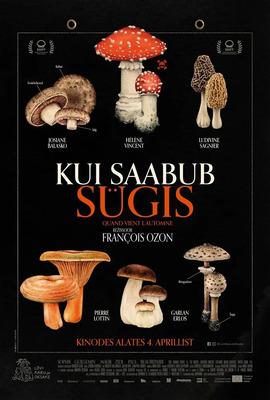 When Fall Is Coming - Estonia